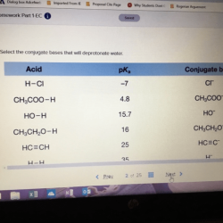 Alkyne nah buok nanh2 homeworklib